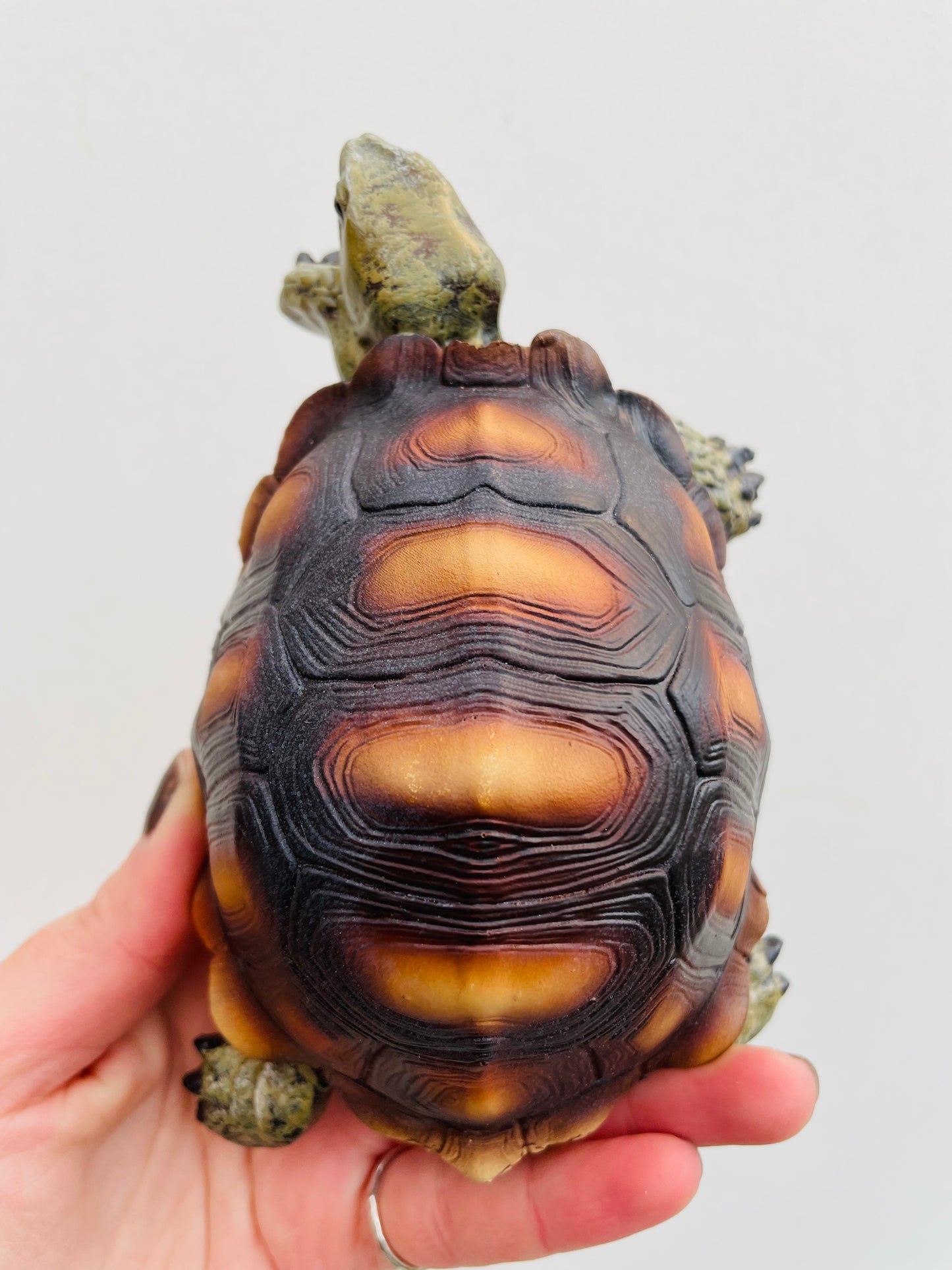 Bilde av Skilpadde S-Spanne Plantesalg