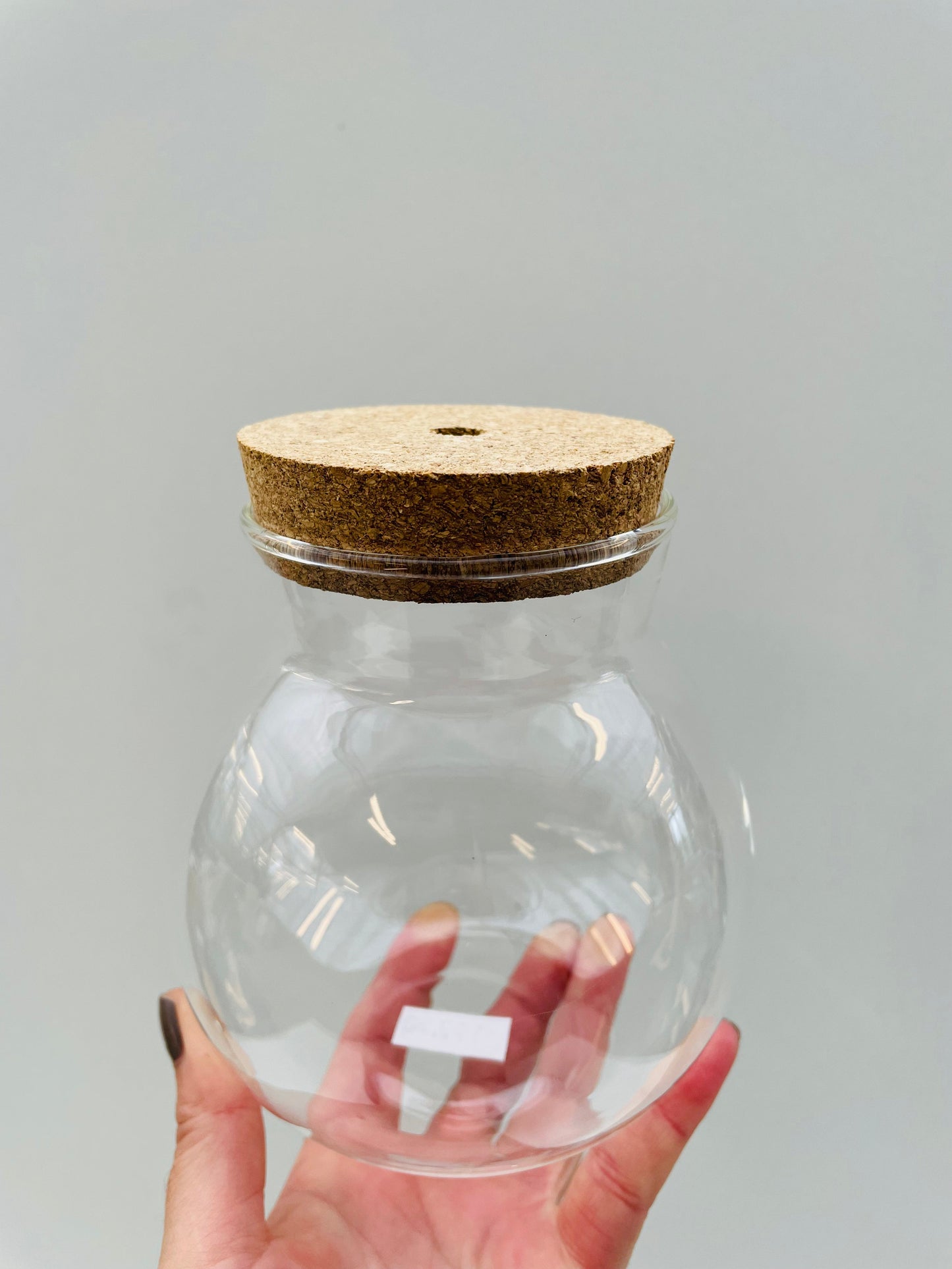 Bilde av Terrarieglass med lokk-Spanne Plantesalg