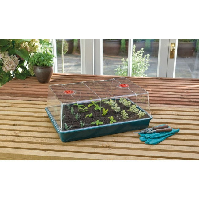 48a-g155-xl-high-dome-propagator-planted-2-_10.jpg