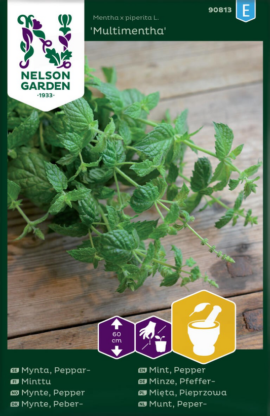Bilde av Mynte, Pepper, Multimenta-Spanne Plantesalg