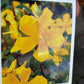 Bilde av Hypericum 'Hidcote'-Spanne Plantesalg