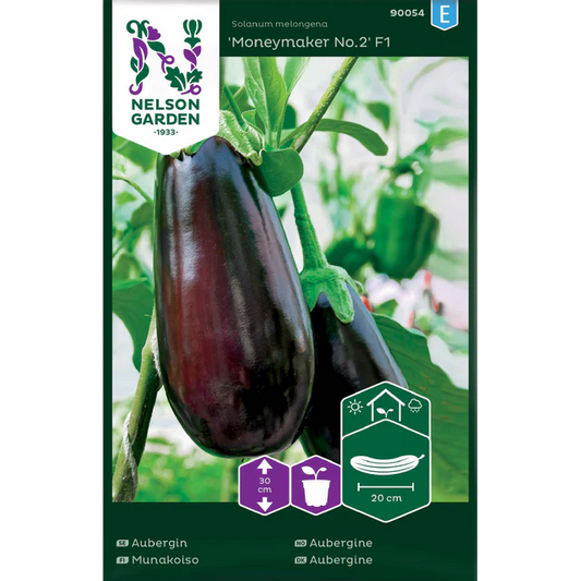 Bilde av Aubergine, Moneymaker Nr.2 F1-Spanne Plantesalg