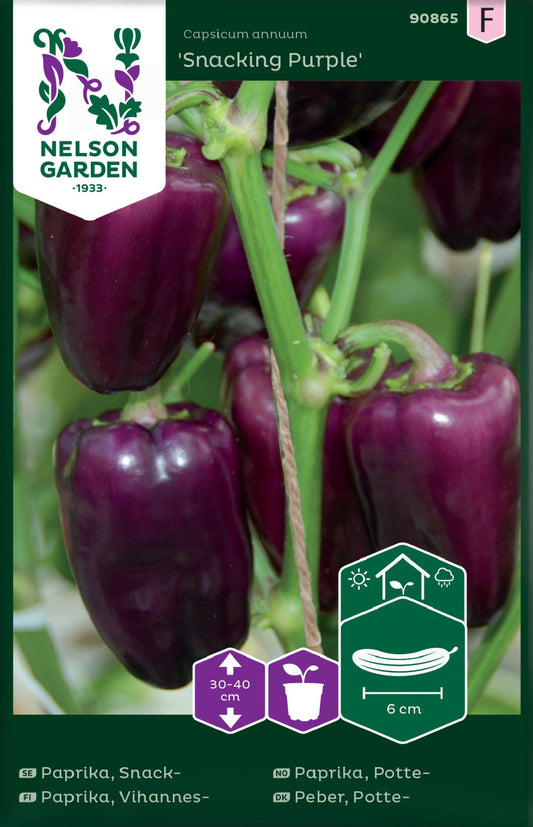 Bilde av Paprika, Potte-, Snacking Purple-Spanne Plantesalg