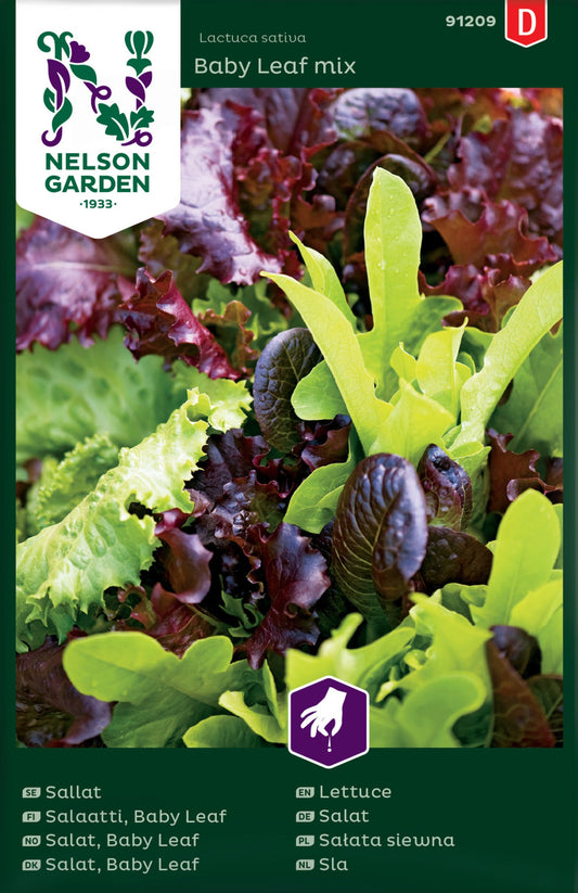 Bilde av Salat, Baby Leaf, mix-Spanne Plantesalg