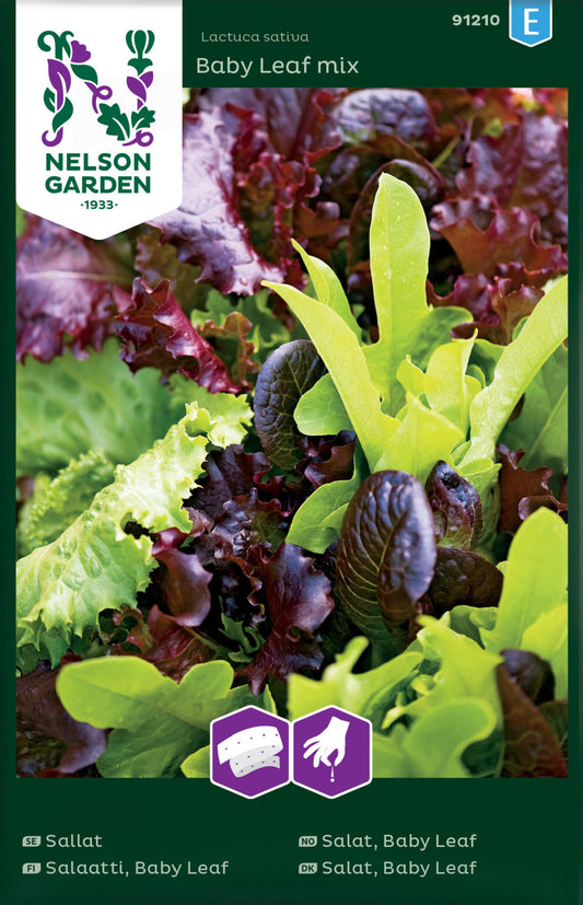 Bilde av Salat, Baby Leaf, mix, Frøbånd-Spanne Plantesalg