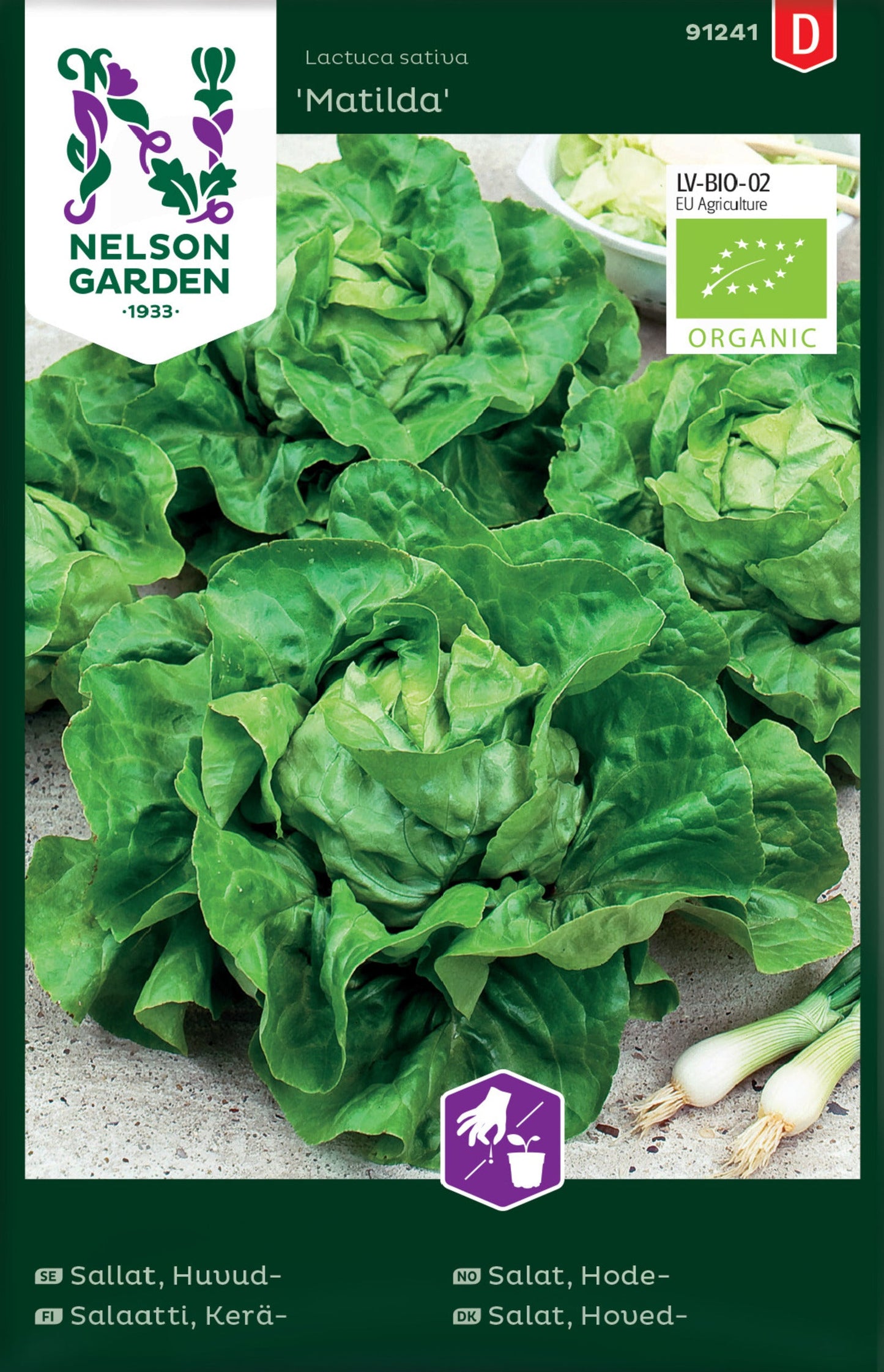 Bilde av Salat, Hode-, Matilda, Organic-Spanne Plantesalg
