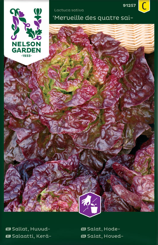 Bilde av Salat, Hode-, Merveille des quatre saiso-Spanne Plantesalg