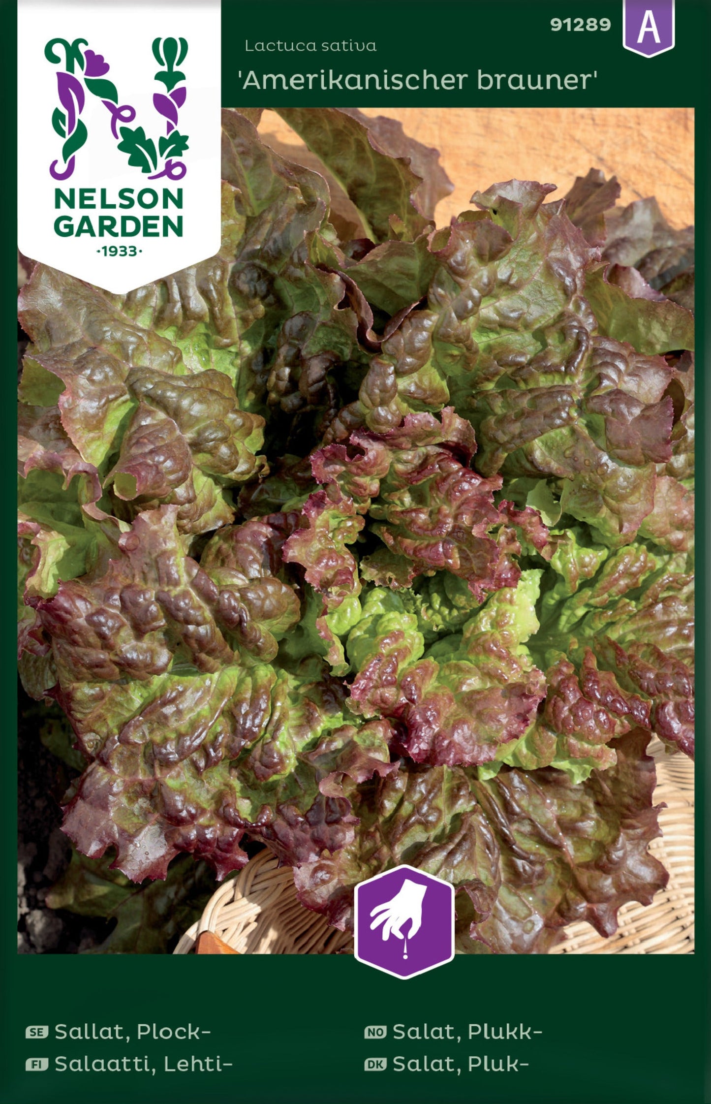 Bilde av Salat, Plukk-, Amerikanischer brauner-Spanne Plantesalg