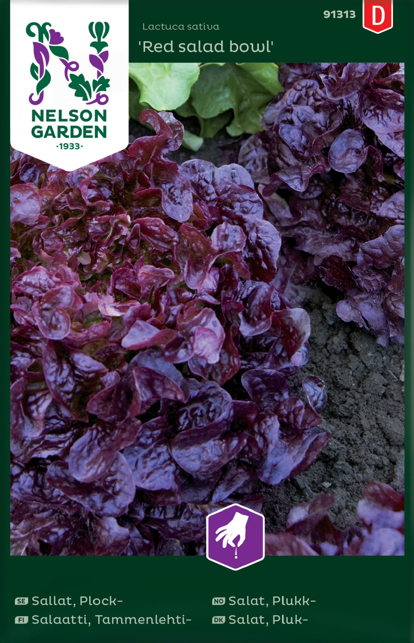 Bilde av Salat, Plukk-, Red salad bowl-Spanne Plantesalg