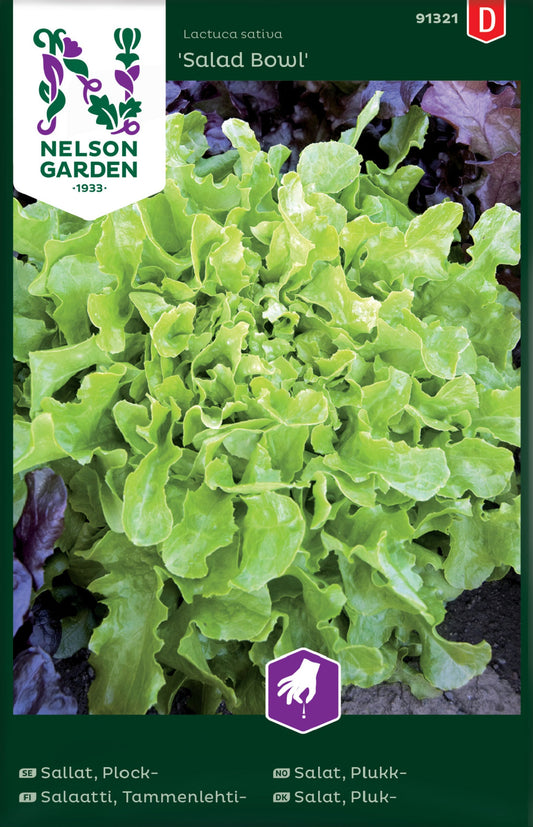 Bilde av Salat, Plukk-, Salad Bowl-Spanne Plantesalg