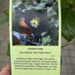 Bilde av HELLEBORUS 'NEW YORK NIGHT'-Spanne Plantesalg