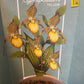Bilde av Cypripedium Garden Orchids 6+ pink-Spanne Plantesalg