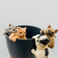Bilde av Hanging Cat/Dog til blomsterpotter-Spanne Plantesalg