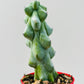 Myrtillocactus geoemtrizans fukurokuriuzimboku 6 cm potte