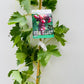 Bilde av Vitis ‘Cardinal’-Spanne Plantesalg