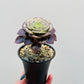 Bilde av Aeonium arboreum ‘Atropurpureum’ 8 cm potte med fat-Spanne Plantesalg