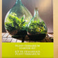 Bilde av DIY Plant Terrarium set 15L-Spanne Plantesalg