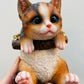Bilde av Hanging Cat-Spanne Plantesalg