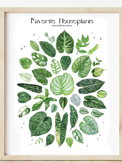 Bilde av A4 plakat (21 x 29 7 cm) stueplanter-Spanne Plantesalg