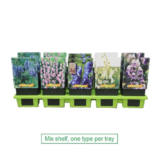 Bilde av Aconitum Mix-Spanne Plantesalg