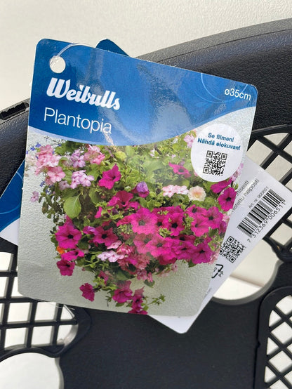 Bilde av Ampel i plast med rustfritt stål henger 35 cm-Spanne Plantesalg