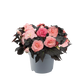 Bilde av Begonia tub. Nonstop Mocca Light Pink Shades Pris pr 2 stk-Spanne Plantesalg