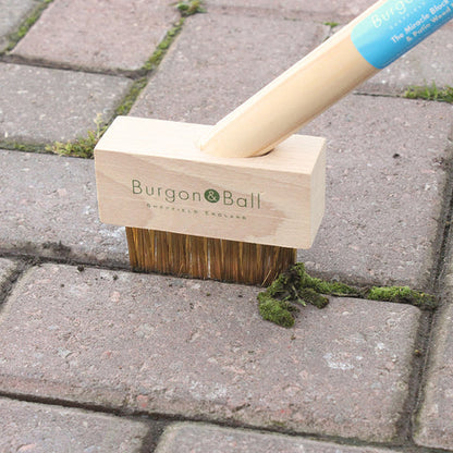Bilde av Belegningsstein kost-Spanne Plantesalg