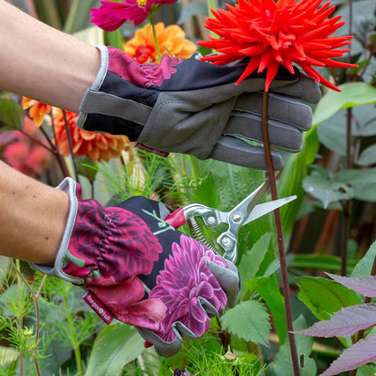 Bilde av Blomstersaks `Georgine`-Spanne Plantesalg