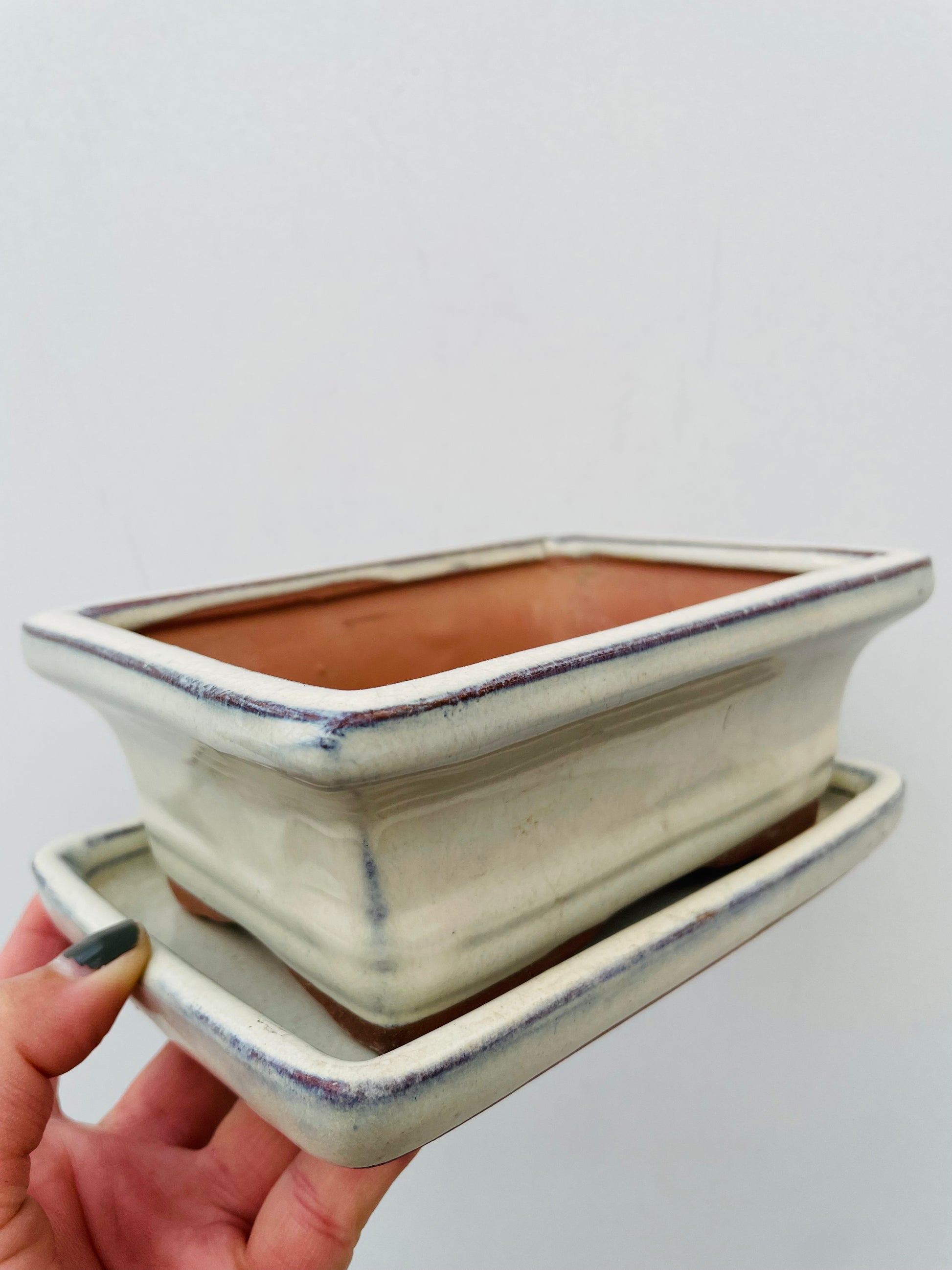 Bilde av Bonsaipotte med fat beige 15 cm-Spanne Plantesalg