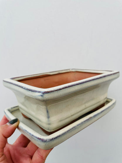 Bilde av Bonsaipotte med fat beige 15 cm-Spanne Plantesalg