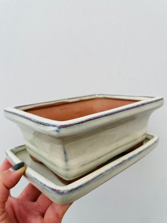 Bilde av Bonsaipotte med fat beige 15 cm-Spanne Plantesalg