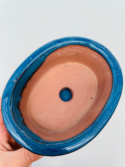 Bonsaipotte med fat blå 15 cm