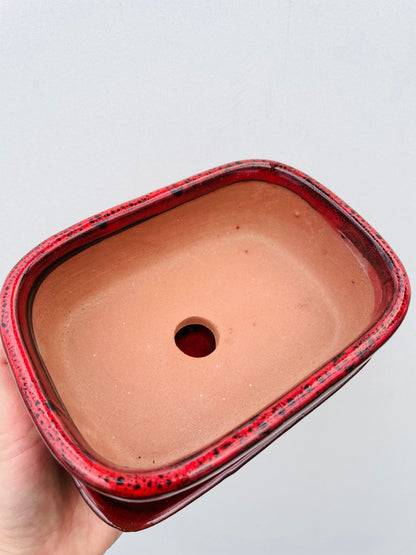 Bonsaipotte med fat rød 15 cm