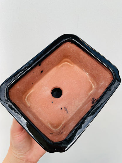 Bonsaipotte med fat svart 15 cm