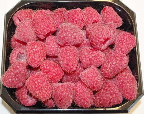 Bilde av Bringebær 'Agat'-Spanne Plantesalg