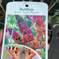 Bilde av Buddleja weyer. Flower Power-Spanne Plantesalg