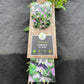Bilde av Clematis 'Willy'-Spanne Plantesalg
