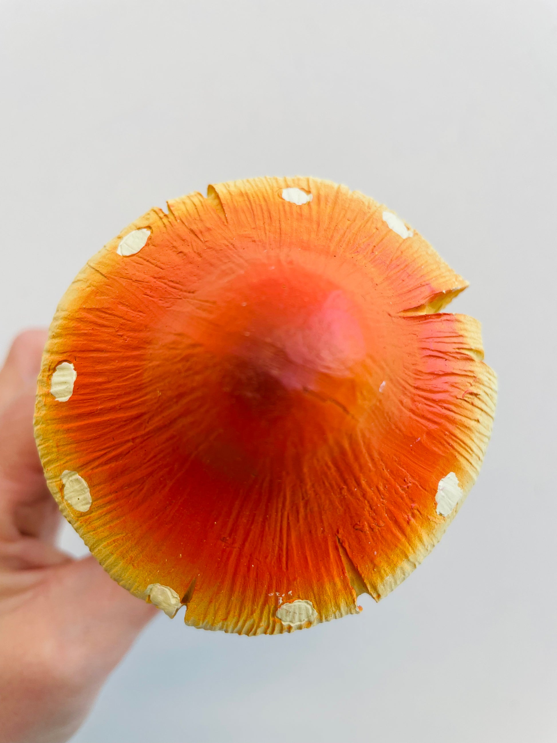 Bilde av Dekorasjon sopp 4-Spanne Plantesalg