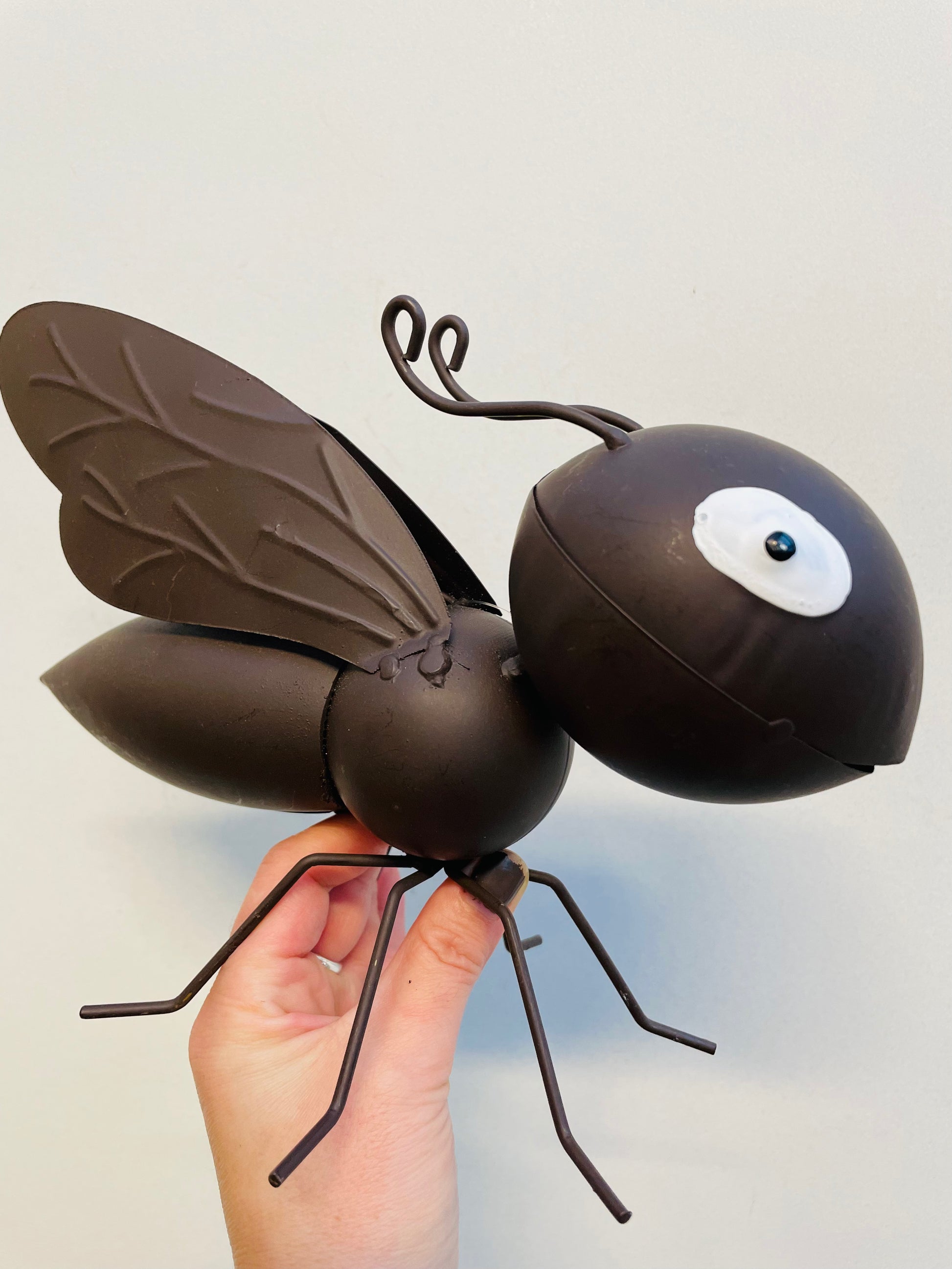 Bilde av Dronning maur-Spanne Plantesalg