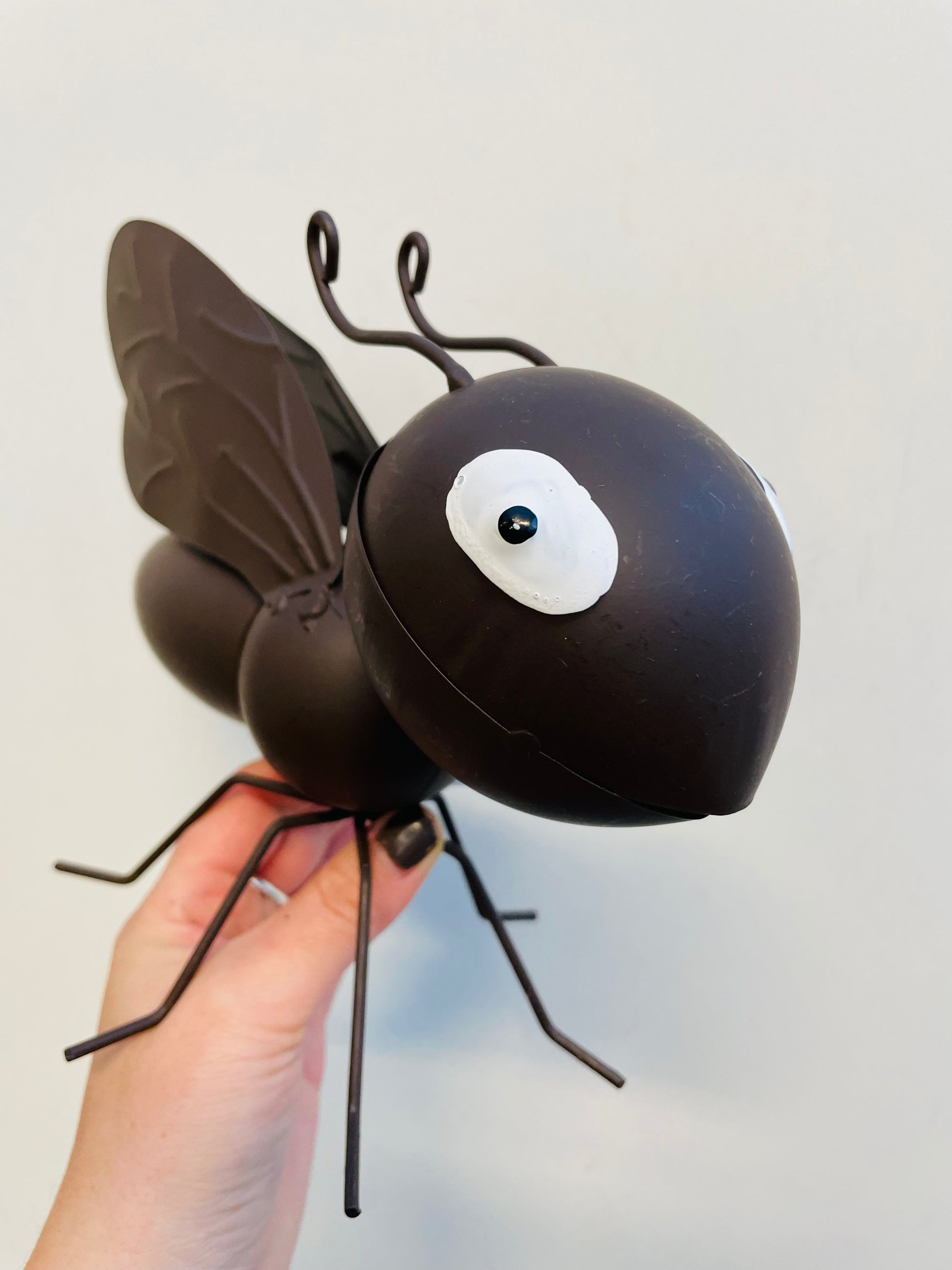 Bilde av Dronning maur-Spanne Plantesalg