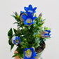 Bilde av Genetiana ‘Blue Heart’-Spanne Plantesalg