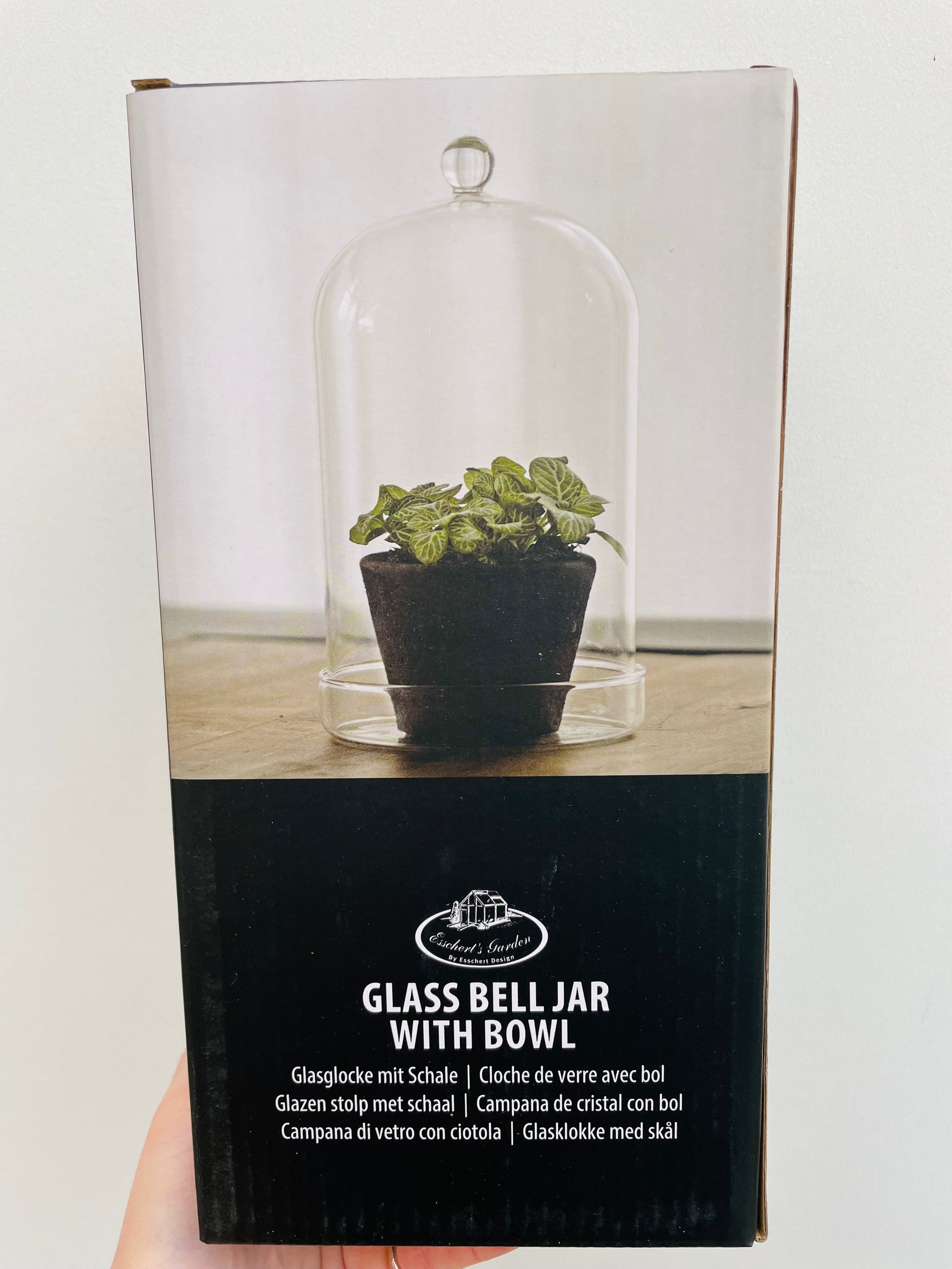 Bilde av Glassklokke med fat-Spanne Plantesalg
