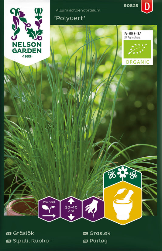 Bilde av Grasløk, alminnelig, Polyvert, Organic-Spanne Plantesalg