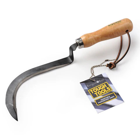 Bilde av Grønnsakskniv-Spanne Plantesalg