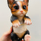 Bilde av Hanging Cat til store potter-Spanne Plantesalg