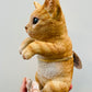 Bilde av Hanging Cat til store potter-Spanne Plantesalg