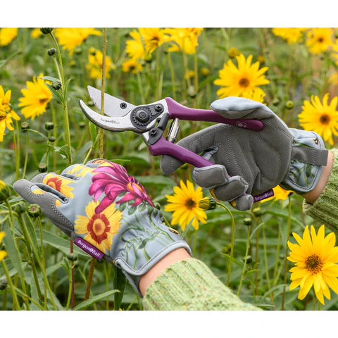 Bilde av Hansker `Asteraceae`-Spanne Plantesalg
