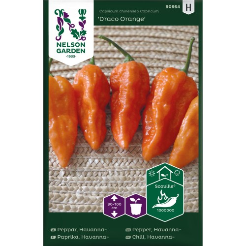 Bilde av Havannapeppar, Draco Orange-Spanne Plantesalg