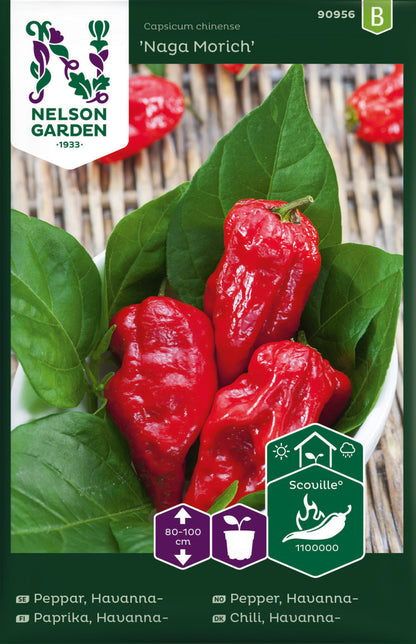 Bilde av Havannapeppar, Naga Morich-Spanne Plantesalg