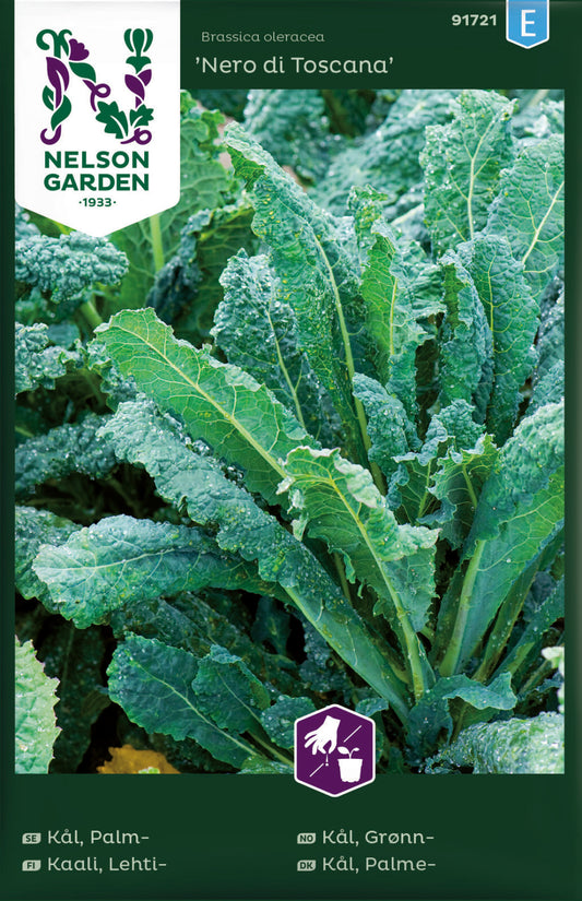Bilde av Kål, Grønn-, Nero di Toscana-Spanne Plantesalg